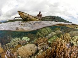 La región de Papúa es llamada ''Amazonas del océano'' por su gran biodiversidad. AFP /