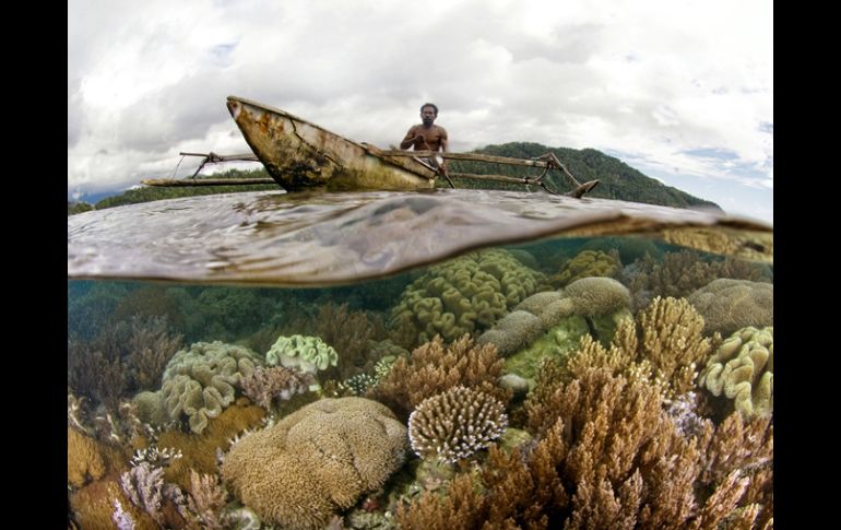 La región de Papúa es llamada ''Amazonas del océano'' por su gran biodiversidad. AFP /