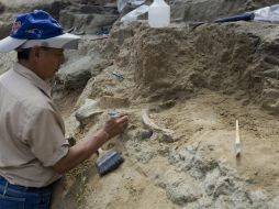 Paleontólogos salvadoreños trabajan en la excavación del nuevo sitio paleontológico Nueva Apopa. EFE /