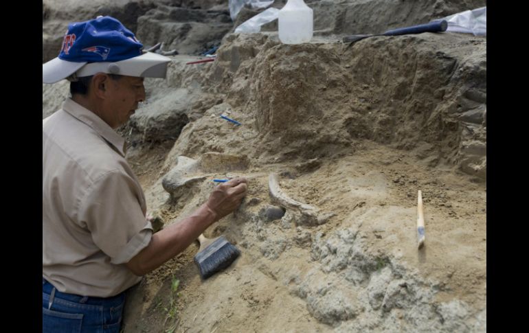 Paleontólogos salvadoreños trabajan en la excavación del nuevo sitio paleontológico Nueva Apopa. EFE /