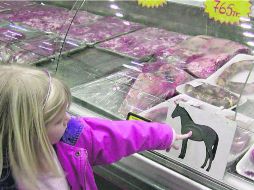 A buen paso. México es un permanente exportador de carne de caballo a países del ''Viejo Continente''. ESPECIAL /