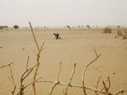 Los continuos ciclos de sequía afectan la producción de alimentos en diversas regiones de África. ARCHIVO /