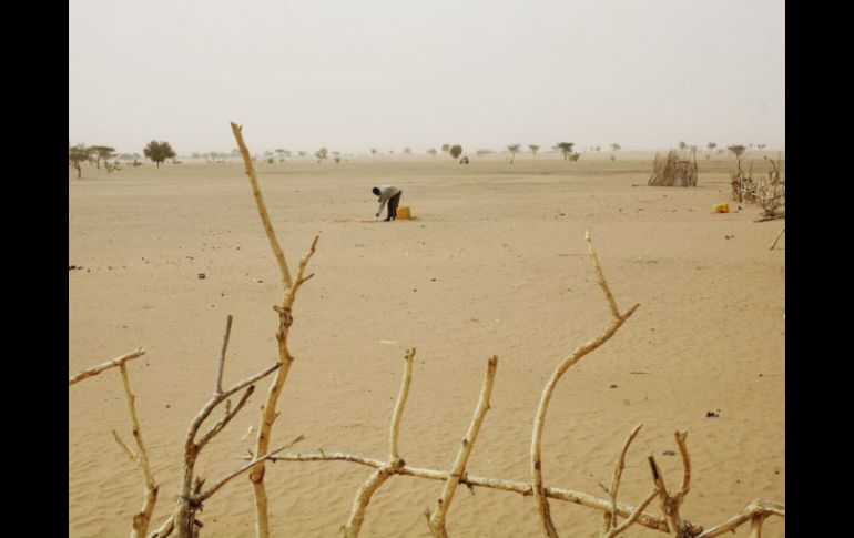 Los continuos ciclos de sequía afectan la producción de alimentos en diversas regiones de África. ARCHIVO /