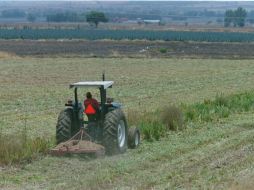 La delegación de la Sagarpa señaló que en 2011 se apoyó en Jalisco a 296 productores. ARCHIVO /