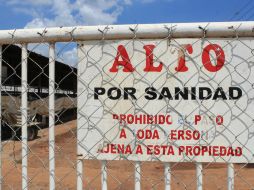 El experto considera que la medida debe completarse con reestricciones en movilizaciones de productos avícolas de riesgo sanitario. ARCHIVO /