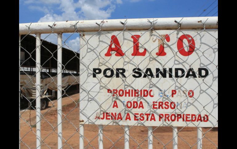 El experto considera que la medida debe completarse con reestricciones en movilizaciones de productos avícolas de riesgo sanitario. ARCHIVO /