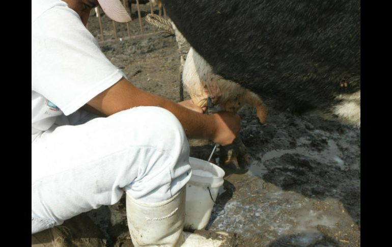 El lácteo ''es un producto que tiene proteínas de un alto valor biológico'', según Vázquez Garibay. ARCHIVO /