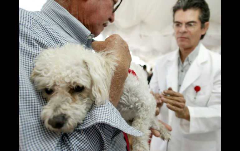 Con las inyecciones se pretenden evitar contagios de rabia entre las mascotas. ARCHIVO /