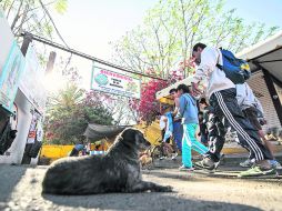 Puerta de la barranca.Familias aprovechan el puente vacacional para hacer ejercicio y estar en contacto con la vegetación silvestre. EL INFORMADOR /