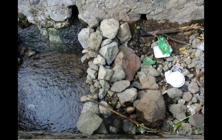 El principal problema es la contaminación y la sobreexplotación. ARCHIVO /