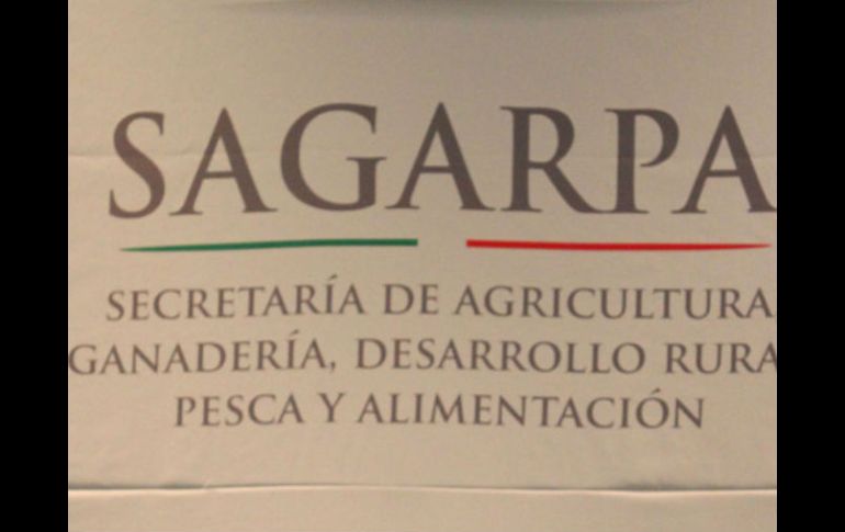 La Sagarpa informó que se buscarán soluciones a las demandas de la sociedad que fueron escuchadas durante los foros de consulta. ARCHIVO /