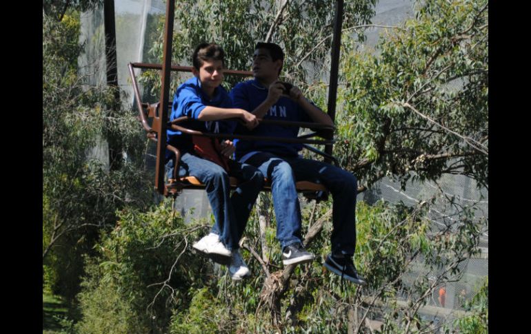 El Sky Zoo permite disfrutar el zoológico a 15 metros de altura.  /