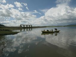 El WWF denunció aquellas construcciones que no valoran alternativas mejores, más baratas y que dañan menos el medio ambiente. ARCHIVO /