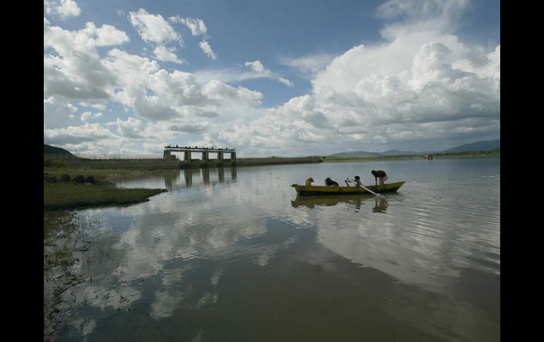 El WWF denunció aquellas construcciones que no valoran alternativas mejores, más baratas y que dañan menos el medio ambiente. ARCHIVO /