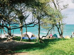 Las playas del municipio de Cihuatlán son un destino popular para quienes se dedican a la natación y el surf.  /