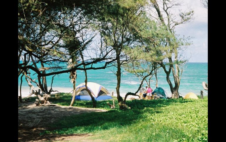 Las playas del municipio de Cihuatlán son un destino popular para quienes se dedican a la natación y el surf.  /