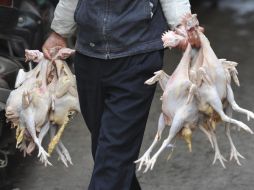 Los casos conocidos de gripe aviar de la nueva variante H7N9 contagiada en humanos han aumentado hasta siete en China. EFE /