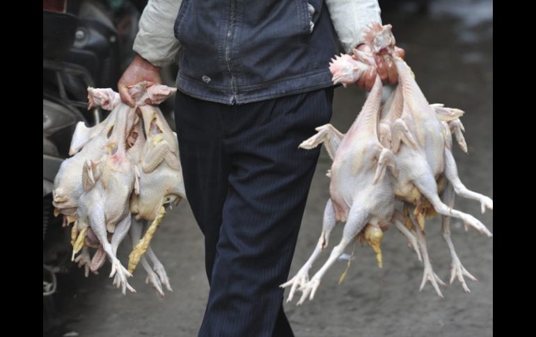 Los casos conocidos de gripe aviar de la nueva variante H7N9 contagiada en humanos han aumentado hasta siete en China. EFE /