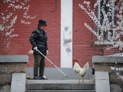 Una mujer china ahuyenta a un pollo de su jardín, en la provincia de Zhejiang. AFP /