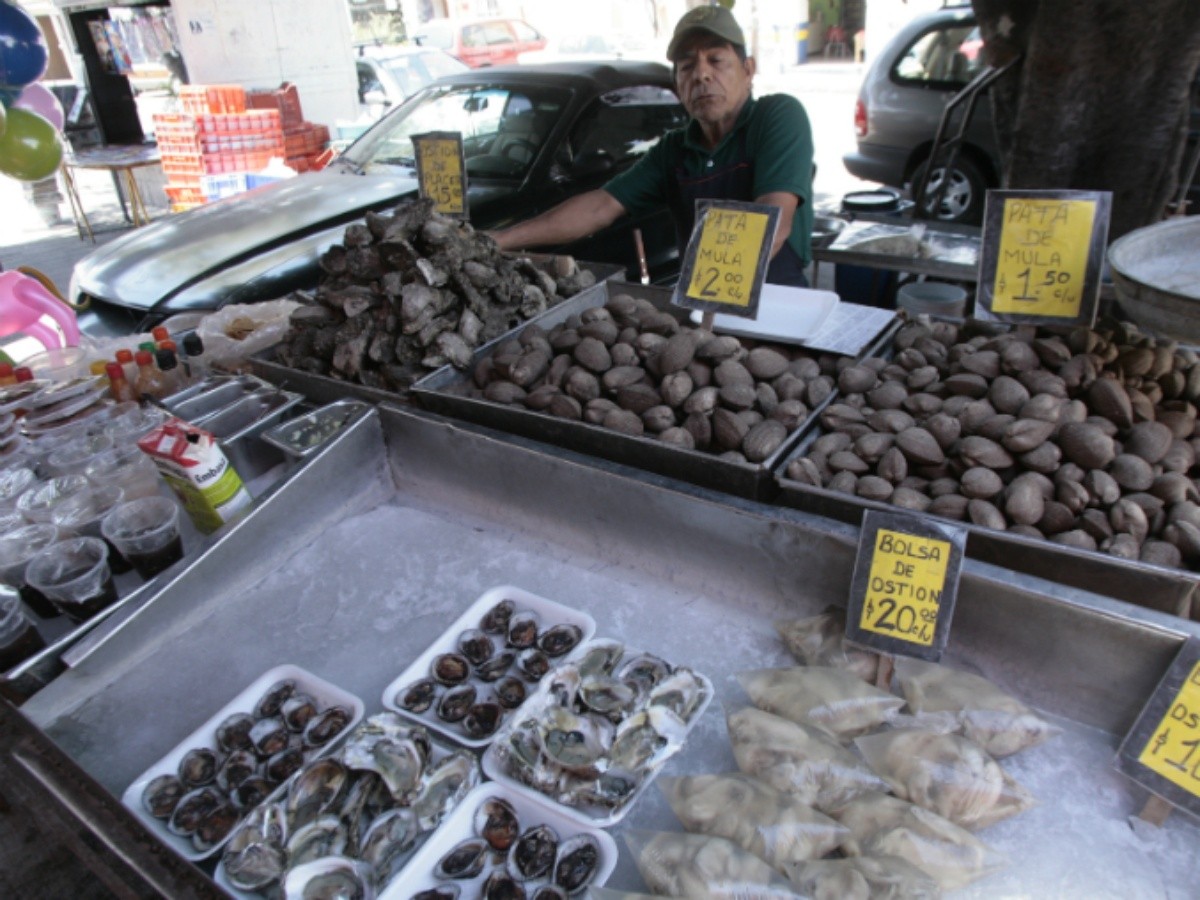 Mercados del mar de Guadalajara y Zapopan ofertan moluscos | El Informador