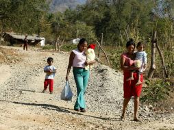 Indesol publicó la convocatoria ''Fomentar la alimentación y la nutrición personal, familiar y comunitaria''. ARCHIVO /