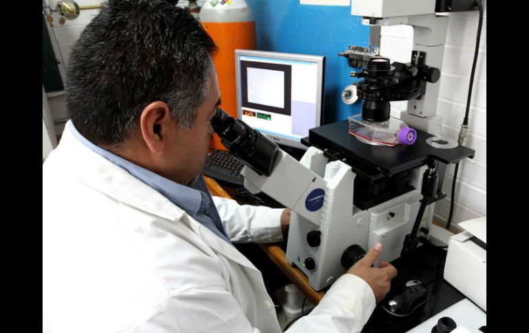 México es pionero en el uso de la biotecnología, pues lo utiliza desde hace 30 años. ARCHIVO /