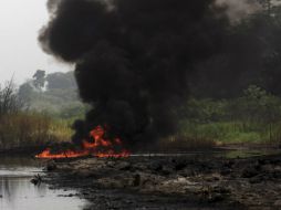 Autoridades aseguran que no hay riesgo alguno de que habitantes contraigan algún tipo de enfermedad. MEXSPORT /