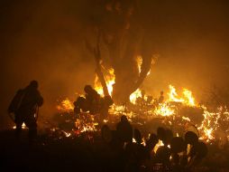 En lo que va de la temporada se han registrado 328 incendios los cuales han consumido dos mil 767 hectáreas de bosque. NTX /