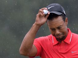 Tiger ha regresado a la cima del golf mundial. AFP /