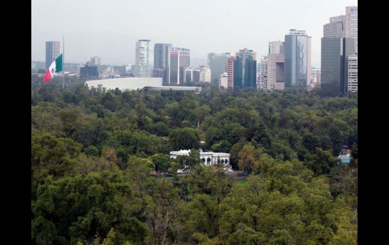 Señalan que México está ahora en una fase donde la sociedad civil está lista para hacer propuestas en el tema ambiental. ARCHIVO /