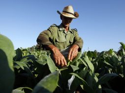 Las ventanillas de atención para los programas federalizados seguirán abiertas para acceder a los apoyos en agricultura. ARCHIVO /