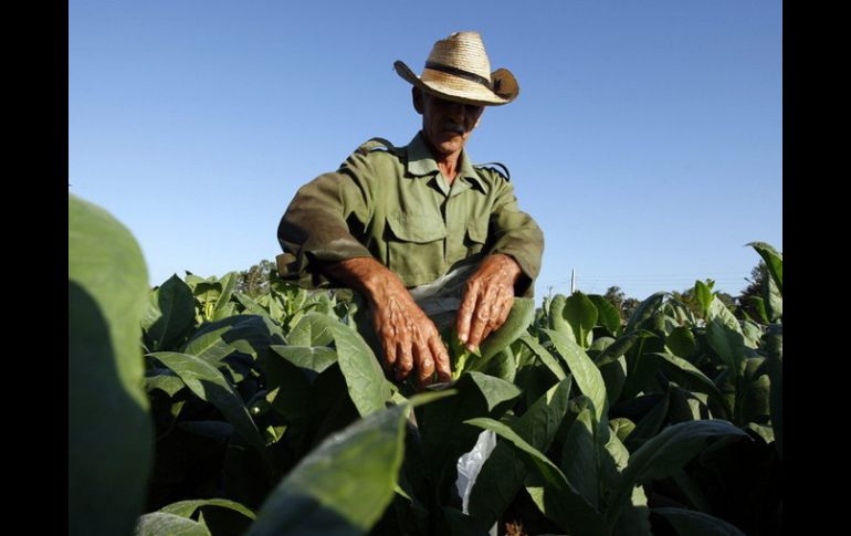 Las ventanillas de atención para los programas federalizados seguirán abiertas para acceder a los apoyos en agricultura. ARCHIVO /