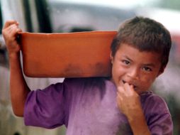 Una mala absorción de alimentos en niños, puede derivar en una parálisis cerebral, Síndrome Down y de Turner, ertcétera. NTX /