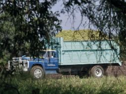 En todos los municipios, menos Guadalajara, abrieron ventanillas para que productores expongan sus proyectos. ARCHIVO /