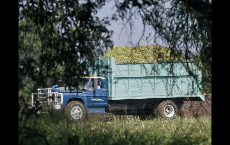 En todos los municipios, menos Guadalajara, abrieron ventanillas para que productores expongan sus proyectos. ARCHIVO /