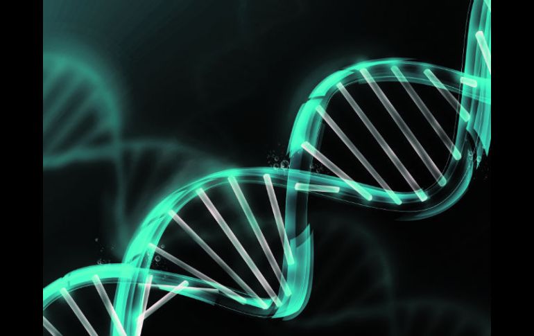 Descubrimiento. La doble hélice es uno de los íconos más populares de la ciencia del siglo XX. ESPECIAL /