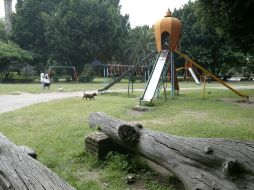 Los niños dicen que la gente puede estar segura en el parque hasta las ocho de la noche. ARCHIVO /