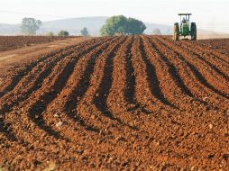 Caída. El campo registró menos gasto para el Gobierno Federal. ARCHIVO /