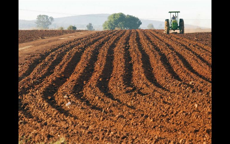 Caída. El campo registró menos gasto para el Gobierno Federal. ARCHIVO /