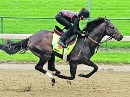 El corcel Orb, montado por Jenn Patterson, jinete de prueba, es marcado por los expertos para llevarse el Derby de Kentucky 2013. AP /