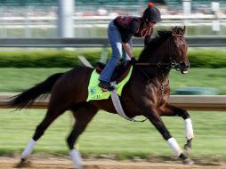 Orb es uno de los caballos que están colocados como favoritos. AFP /