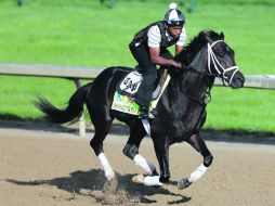 Revolutionary pertenece a WinStar Farm LLC., es entrenado por Todd Pletcher y será montado por Calvin Borel. AFP /