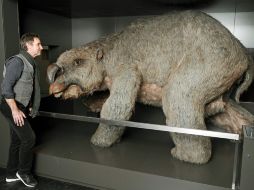 Brendan Atkins, coordinador y editor de publicaciones del museo de Sídney, junto al modelo de un diprotodon. AFP /