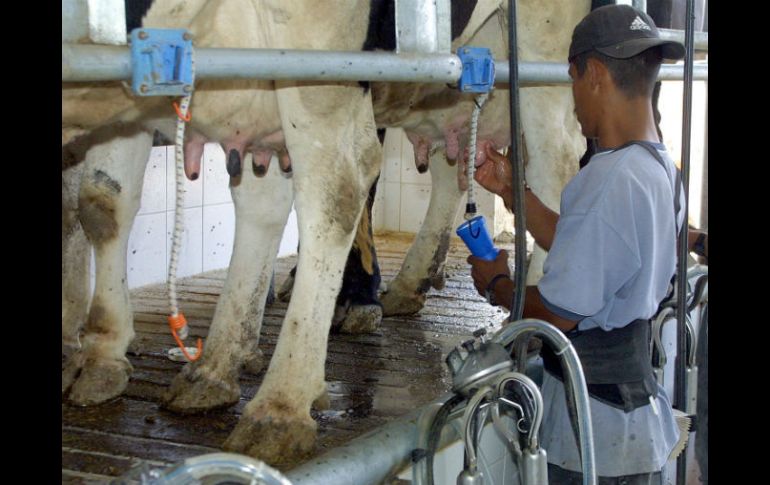 Piden el subsidio para que Liconsa pueda subir a un peso el costo por cada litro de leche que paga a los productores. ARCHIVO /