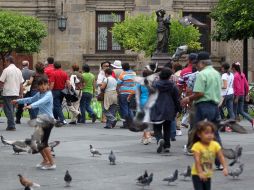 La iniciativa, propuesta por el PRD, otorgaría derechos a individuos como recibir alimentos, tutela,seguridad social entre otros. ARCHIVO /