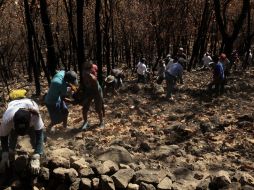 Los estudiantes deberán ser  originarios de áreas rurales, ejidos, comunidades forestales o indígenas. ARCHIVO /