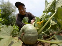 El comité reanudará el debate el próximo lunes, donde abordará asuntos relacionados con trabajadores en el sector agrícola. ARCHIVO /