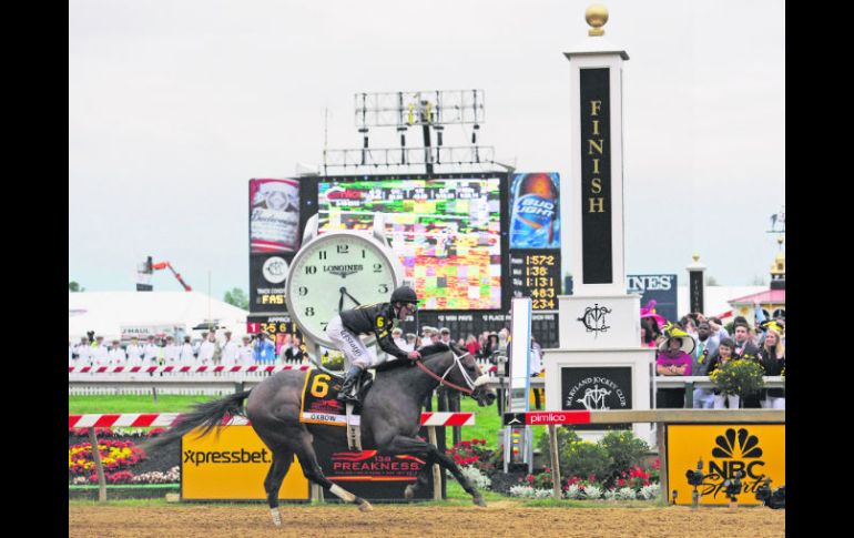 ''Oxbow'', con la monta del veterano Gary Stevens, cruza la línea de meta de la la edición 138 del Preakness Stakes en primer lugar. AP /