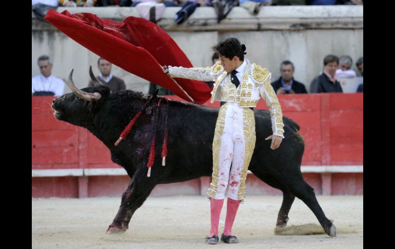 El mexicano confirma con el toro llamado Español, marcado con el número 70 y con 525 kilogramos de peso. AFP /