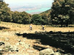 Postal. El polígono de protección comprende los municipios de Jocotepec, Tlajomulco, Ixtlahuacán de los Membrillos y Chapala.  /